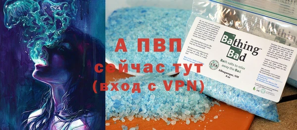 PSILOCYBIN Белокуриха