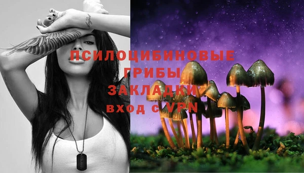 мяу мяу мука Белоозёрский