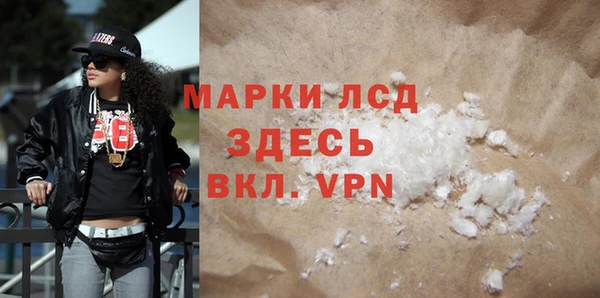 PSILOCYBIN Белокуриха