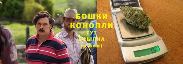 PSILOCYBIN Белокуриха
