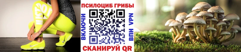 купить закладку  Вельск  Псилоцибиновые грибы Psilocybe 